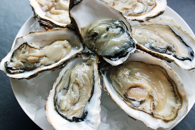 Oesters natuur